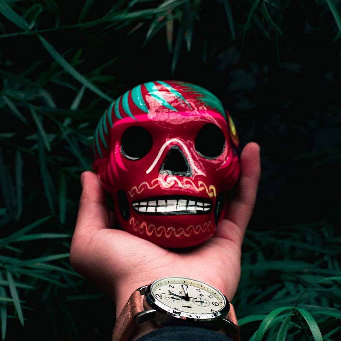 The Diablitos the-diablitos